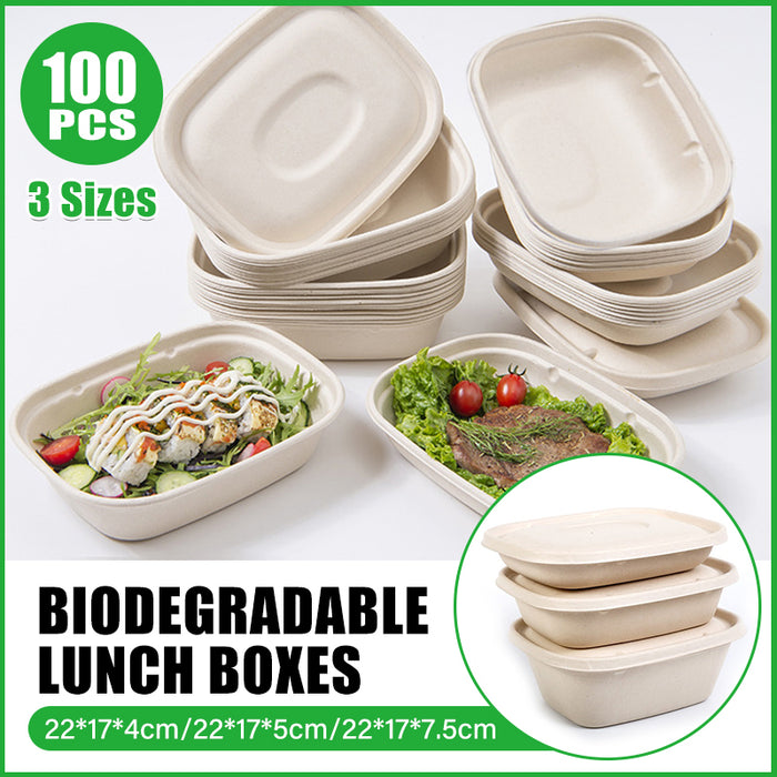 100Pcs Disposable Bagasse Takeaway Food Boxes with Lids