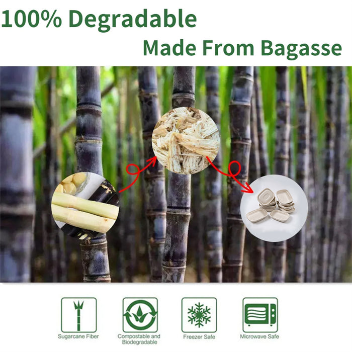 100Pcs Disposable Bagasse Takeaway Food Boxes with Lids