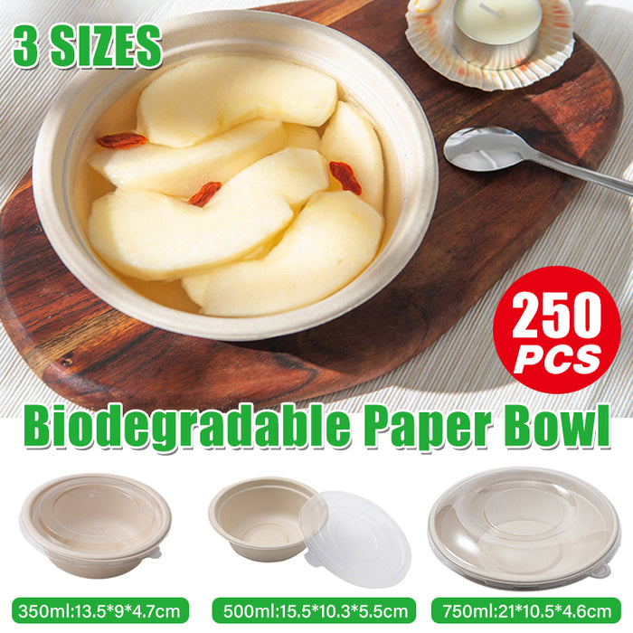 250Pcs Disposable Bagasse Bento Boxes with PP or PET Lids