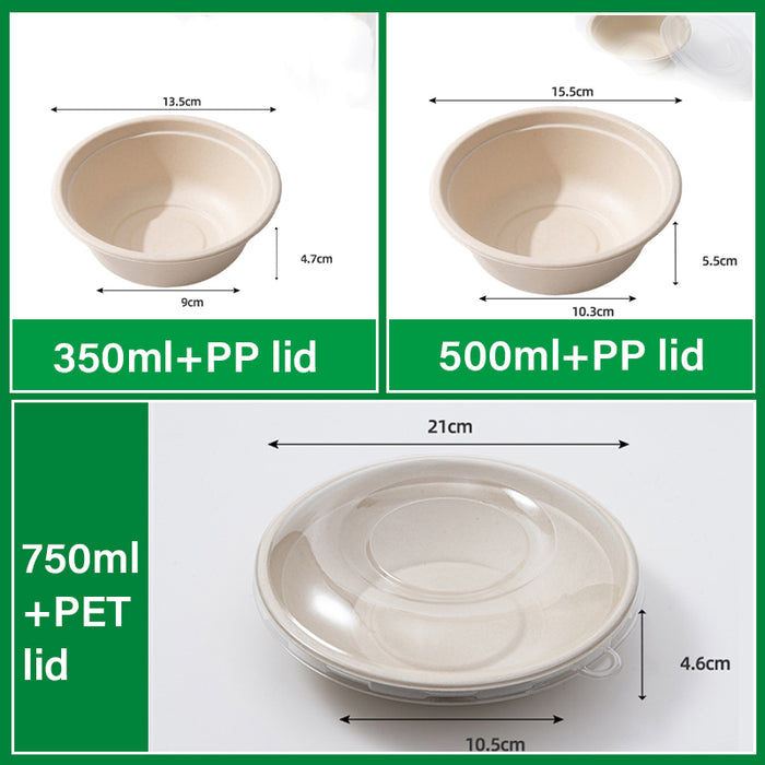 250Pcs Disposable Bagasse Bento Boxes with PP or PET Lids