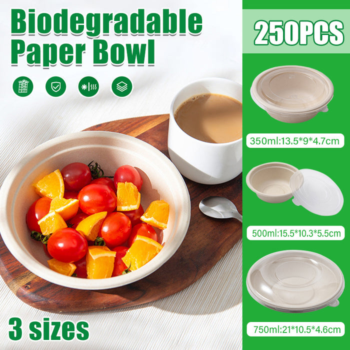 250Pcs Disposable Bagasse Bento Boxes with PP or PET Lids