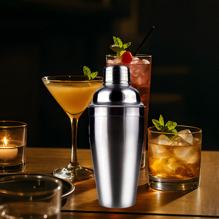 750ml Stainless Steel Cocktail Shaker Leak-Proof Silver