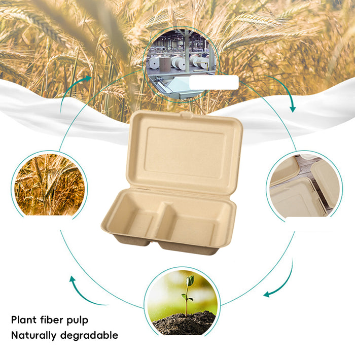 50 Pcs Dual Compartment Takeaway Bento Boxes Leak-Proof Food-Grade White or Kraft