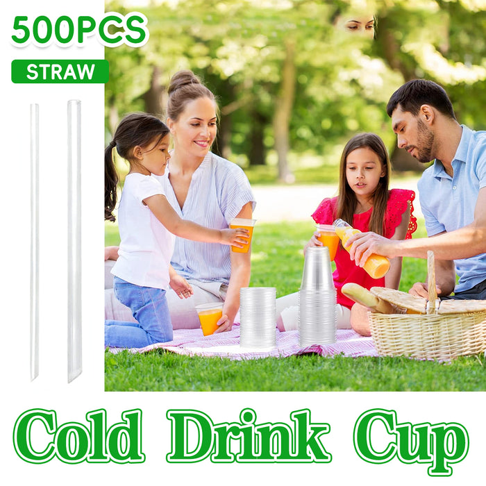 Disposable Cold Drink Cups with Lids Straws PET Clear 12oz 16oz 20oz